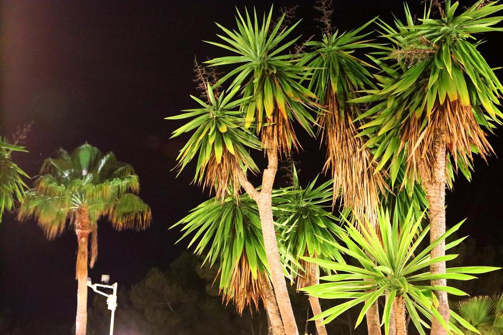 פגוארה Villa Columbus Family Boutique Hotel מראה חיצוני תמונה