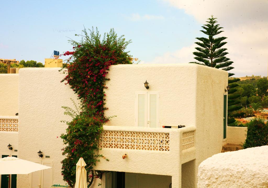 פגוארה Villa Columbus Family Boutique Hotel מראה חיצוני תמונה